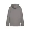 PUMA EVOSTRIPE Full-Zip Hoodie Gri Erkek Fermuarlı Ceket