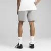 ESS ELEVATED Shorts 9" TR