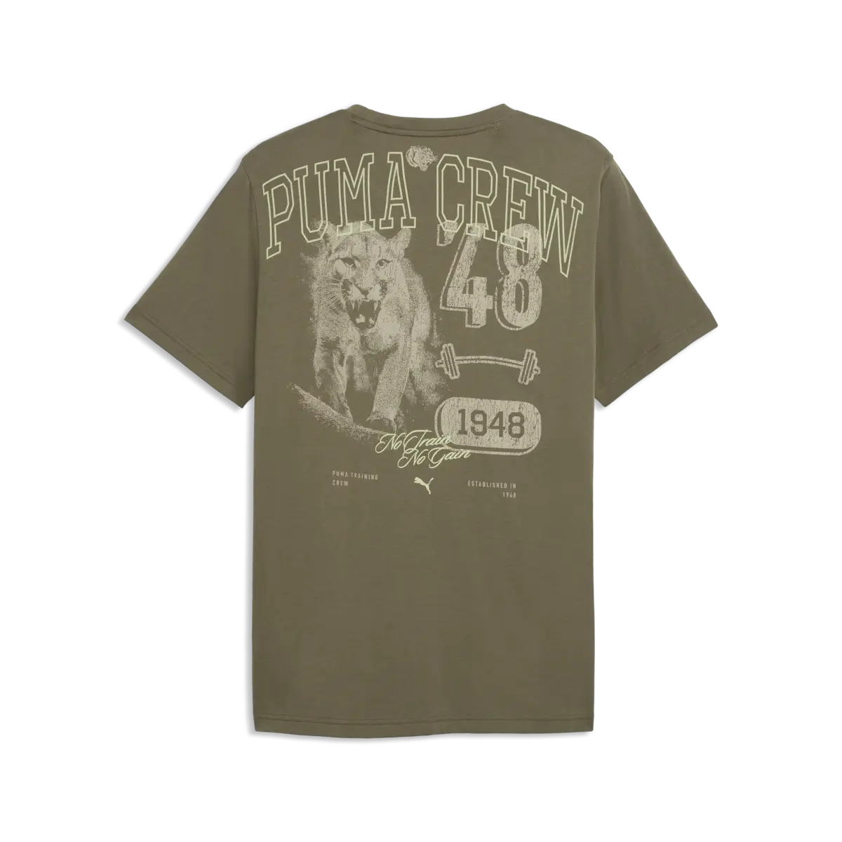 Puma M GRAPHIC TEE 1 Haki Erkek T-Shirt