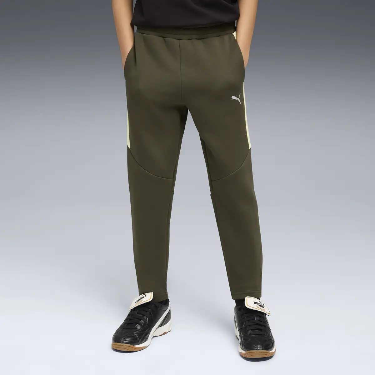 Puma EVOSTRIPE Pants DK Yeşil Unisex Eşofman Altı