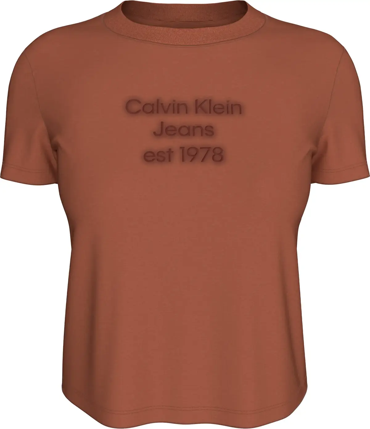 Calvin Klein WASHED PUFF PRINT BA, GAM Kahverengi Kadın T-Shirt & Polo