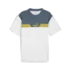 Puma POWER Colorblock Tee Erkek T-Shirt & Polo