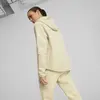 Puma EVOSTRIPE Hoodie