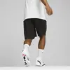 Puma Shot Blocker Short Erkek Şort