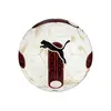 Puma Ortiba Super Lig 5 Hs Puma White Beyaz Futbol Topu