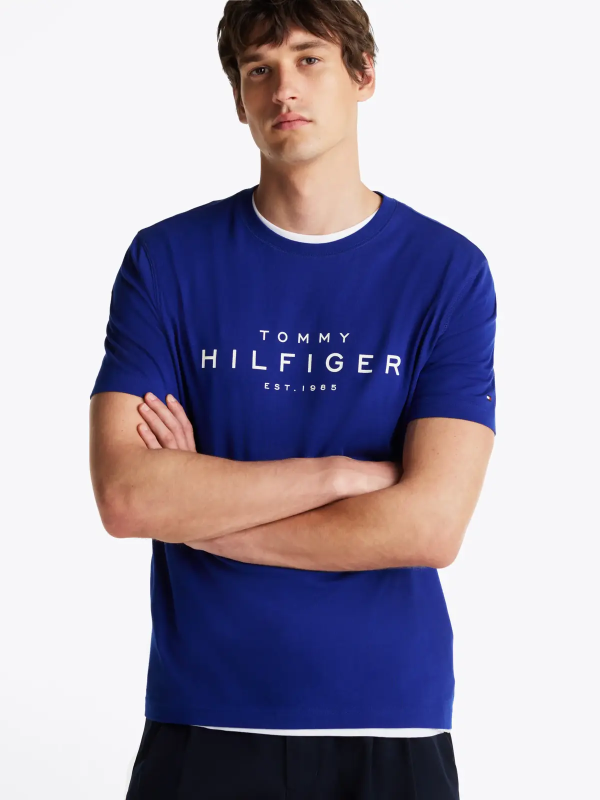 Tommy Hilfiger BIG HILFIGER TEE Erkek Mavi T-Shirt