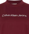 Calvin Klein A- INST. LOGO CLASSIC TEE SS Kırmızı Kadın T-Shirt