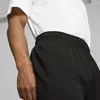 Puma Shot Blocker Short Erkek Şort