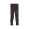 Puma EVOSTRIPE Tights Mor Kadın Tayt