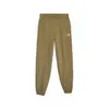 Puma Classics Sweatpants Kahverengi Kadın Eşofman Altı
