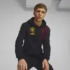 Puma Mcfc Ftblculture Hoody Erkek Takım Forması