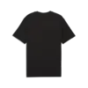 Puma GRAPHIC Tee Siyah Erkek T-Shirt