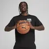 Puma Posterize Tee II Siyah Erkek T-Shirt & Polo