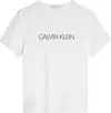 Calvin Klein INSTITUTIONAL T-SHIR Erkek Beyaz T-Shirt