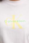 Calvin Klein HERO SS CLASSIC MONOLOGO CN TEE Gri Kadın T-Shirt Calvin Klein HERO SS CLASSIC MONOLOGO CN TEE Gri Kadın T-Shirt