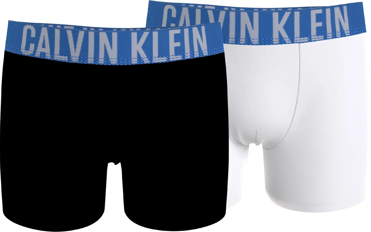 Calvin Klein 2PK BOXER BRIEF Erkek Siyah Boxer Set