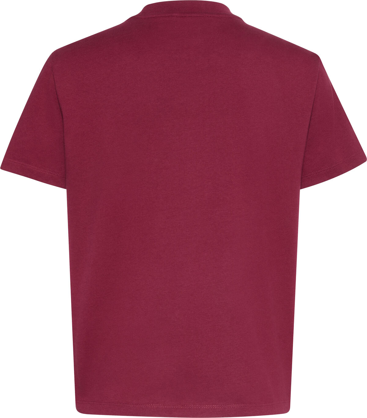 Calvin Klein A- INST. LOGO CLASSIC TEE SS Kırmızı Kadın T-Shirt