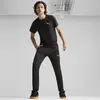 Puma EVOSTRIPE Pants Siyah Erkek Eşofman Altı