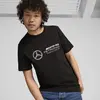 Puma MAPF1 ESS Logo Tee Siyah Erkek T-Shirt