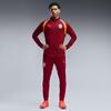 Puma GSK Training Jacket GALATASARAY Erkek Antrenman Ceketi