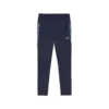 Puma teamCUP Training Pants Lacivert Erkek Eşofman Alt