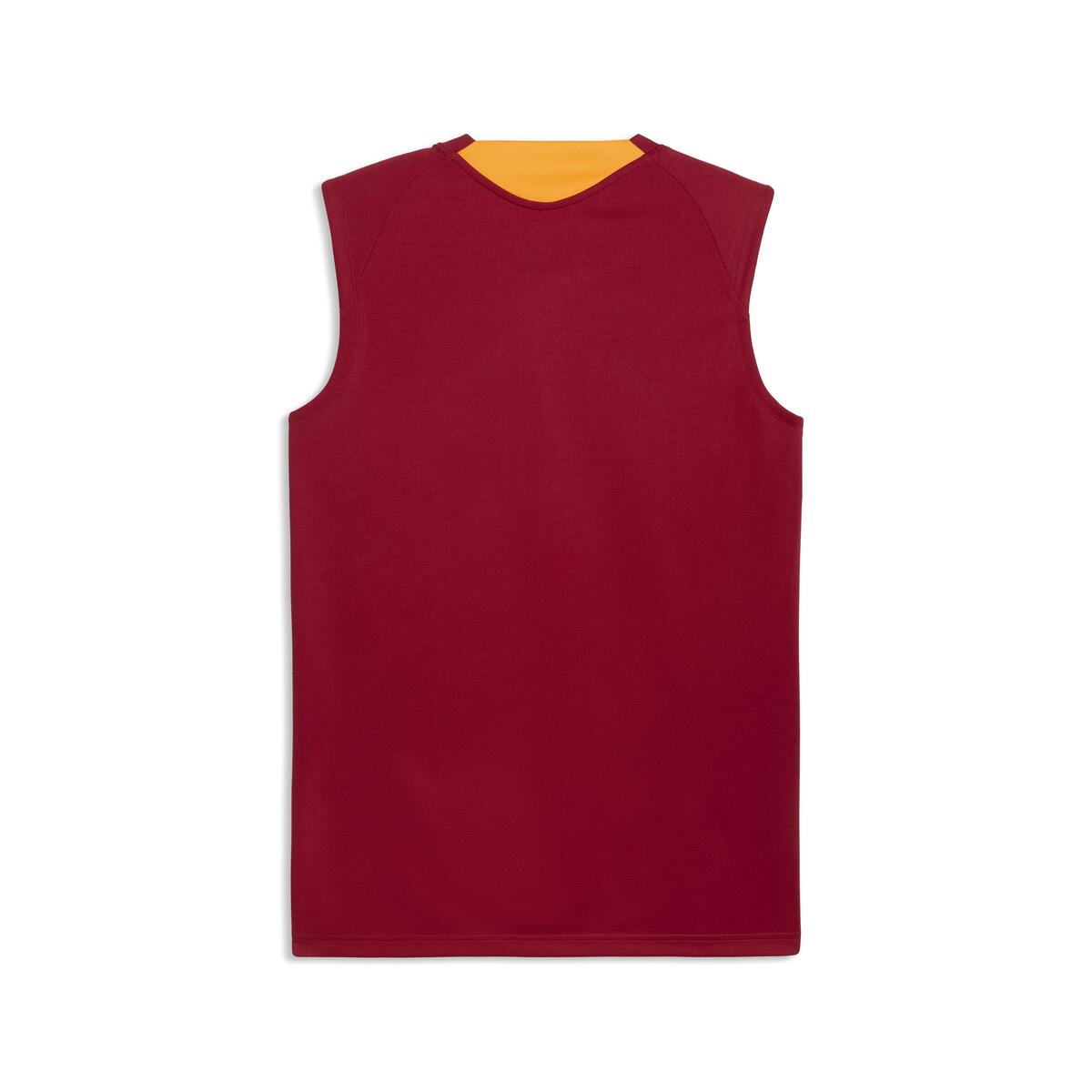 Puma GSK Training Jersey SL GALATASARAY Erkek Kolsuz Antrenman Forması