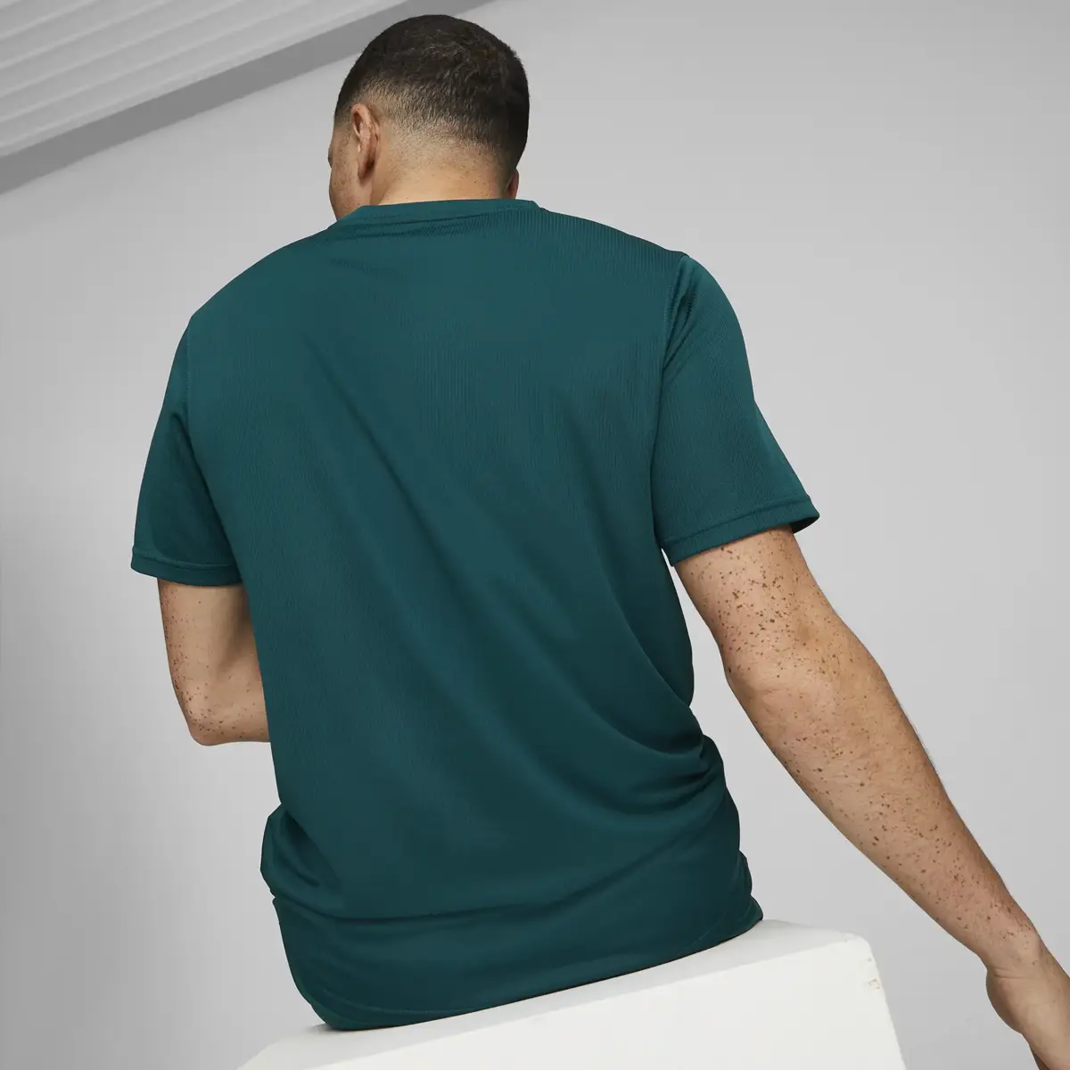 Puma PERFORMANCE TEE Erkek T-Shirt & Polo