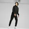 Puma RAD/CAL Hooded Half-Zip Siyah Erkek Sweatshirt