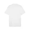 Puma teamGOAL Casuals Polo Beyaz Erkek T-Shirt