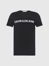 Calvin Klein CORE INSTITUTIONAL L Erkek Siyah T-Shirt
