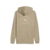 Puma CLASS Graphic Hoodie FL Erkek Sweatshirt