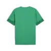 Puma teamCUP Training Jersey Erkek Forma