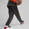 Puma In the PAINT Erkek Basketbol Eşofman Altı