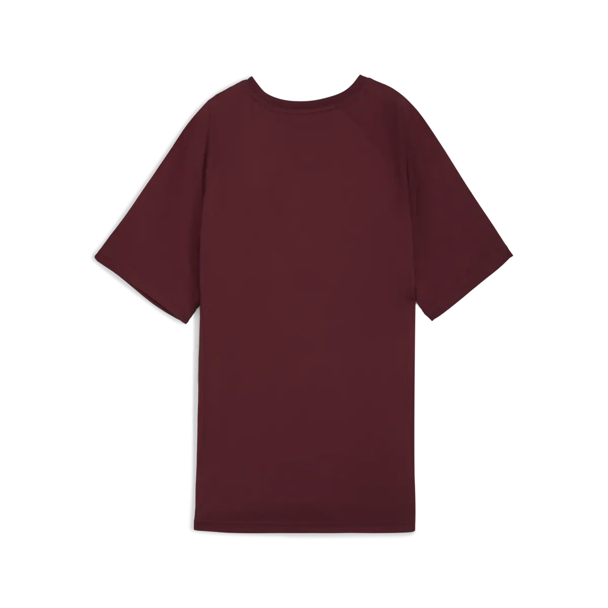 PUMA EVOSTRIPE Graphic Tee Kadın Bordo T-Shirt