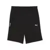 PUMATECH Shorts Siyah Erkek Şort