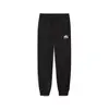 Puma SQUAD Pants TR Siyah Kadın Eşofman Altı