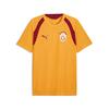 Puma GSK Training Jersey GALATASARAY Erkek Antrenman Forması