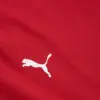 Puma Ferrari Race Clr Shield Tee Kırmızı Erkek T-Shirt