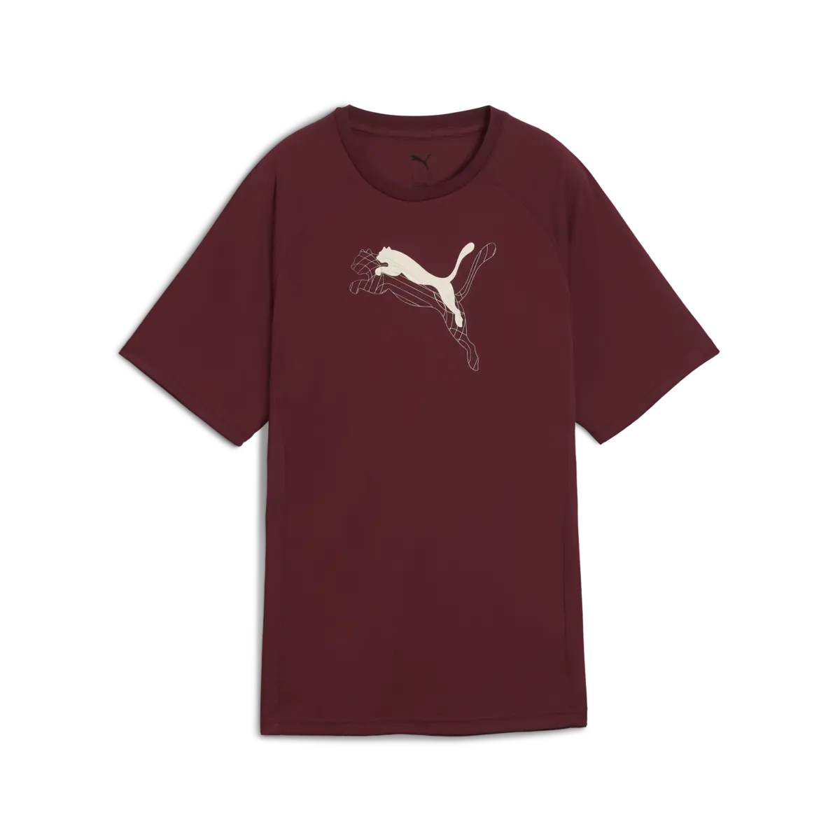 PUMA EVOSTRIPE Graphic Tee Kadın Bordo T-Shirt