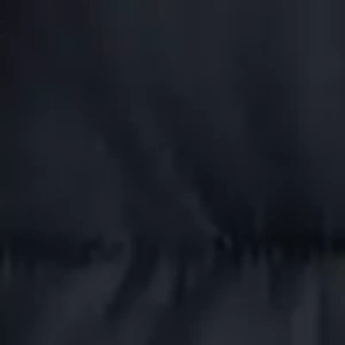 Tommy Hilfiger MID WEIGHT HOODED JA, DW5 Lacivert Erkek Mont