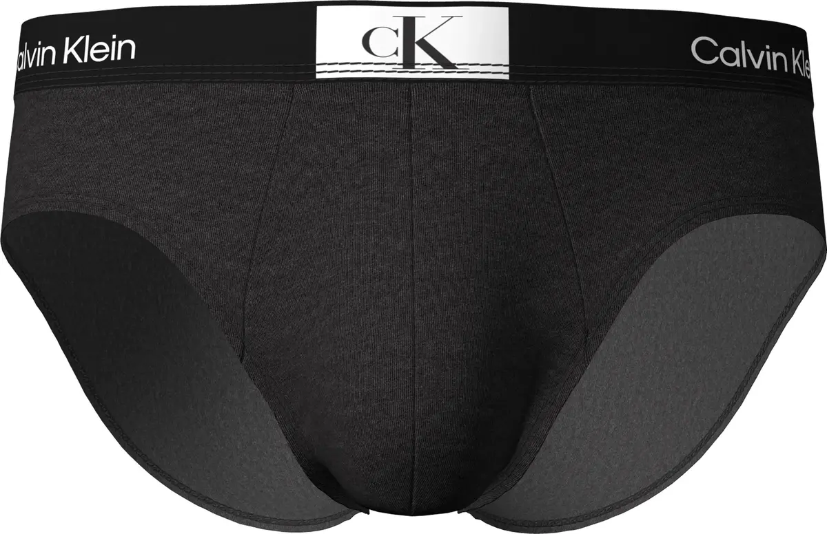 Calvin Klein HIP BRIEF Erkek Siyah Slip