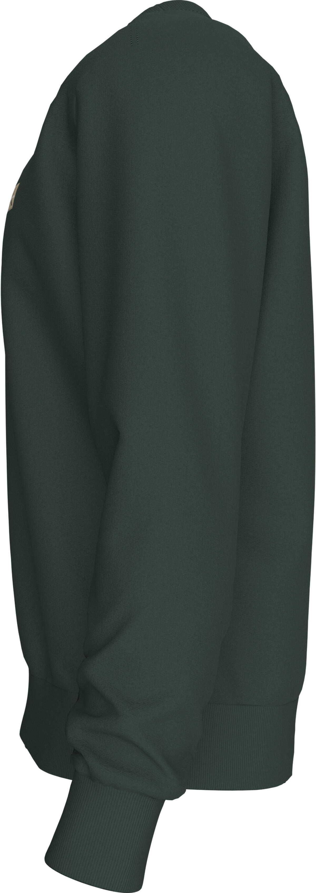 Calvin Klein LS EU 350TERRY BADGE CN SWTSHRT Yeşil Erkek Sweatshirt Calvin Klein LS EU 350TERRY BADGE CN SWTSHRT Yeşil Erkek Sweatshirt