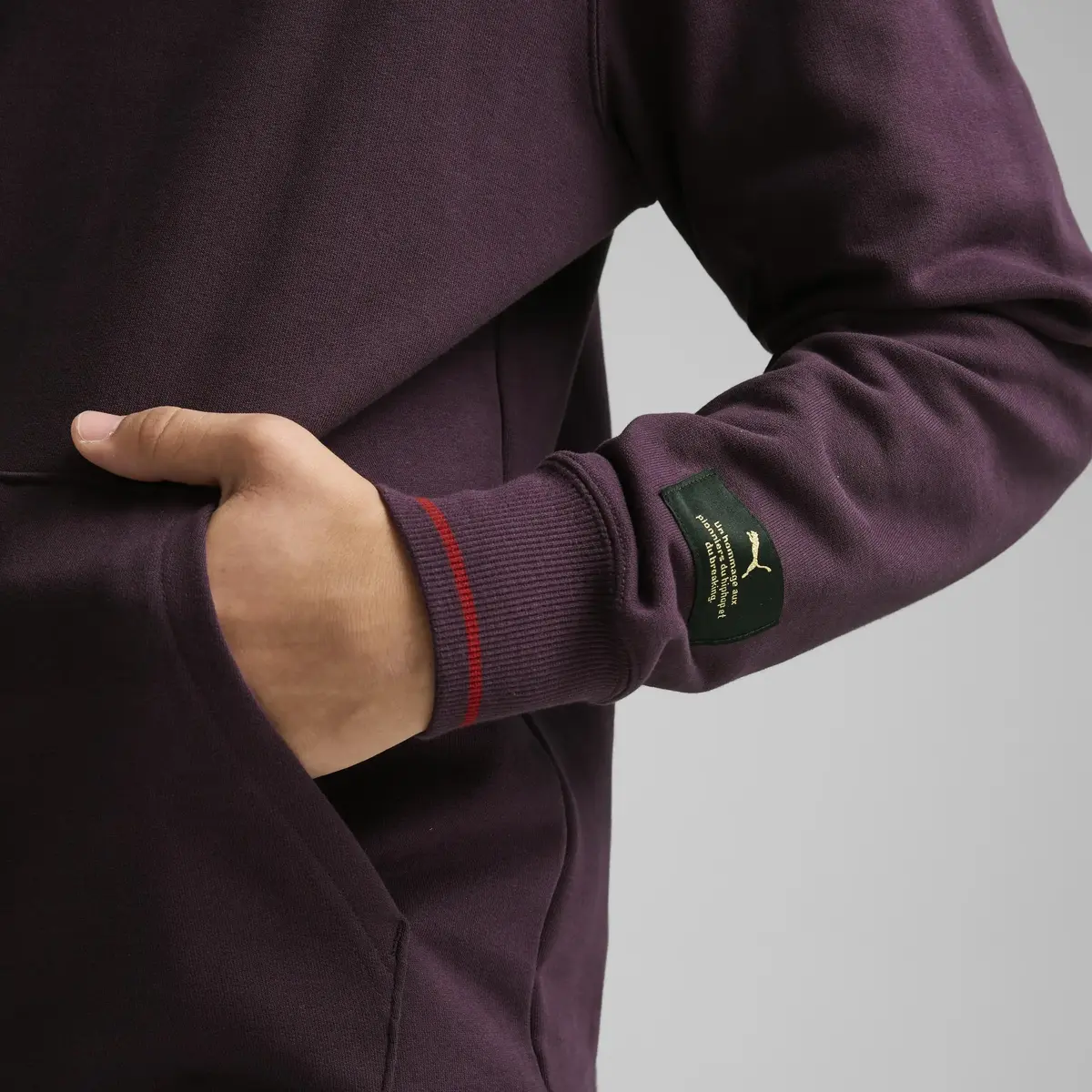 Puma CLASSICS PLAY.PARIS. Hoodie Mor Erkek Hoodie