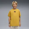 Puma X SONIC Graphic Tee Erkek T-Shirt & Polo