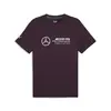 Puma MAPF1 ESS Logo Tee Siyah Erkek T-Shirt