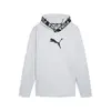 Puma TRAIN PWR FLEECE HOODIE Açık Gri Erkek Hoodie