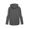 Puma EVOSTRIPE Full-Zip Hoodie DK Gri Erkek Sweatshirt