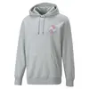 Puma Swxp Graphic Hoodie Gri Erkek Hoodie