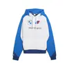 PUMA BMW MMS LIFESTYLE HOODIE Mavi Erkek Hoodie