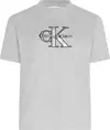 Calvin Klein SS CLASSIC MONOLOGO METALLIC CNE Kadın Gri T-Shirt